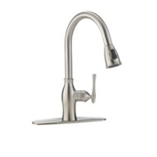 Danze Lisa Pull Down Kitchen Faucet Brushed Nickel Canadian Tire