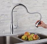 DanzeLisa Pull-Down Kitchen Faucet, Chrome | Danzenull