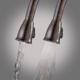 DanzeLisa Pull-Down Kitchen Faucet, Oil Rubbed Bronze | Danzenull