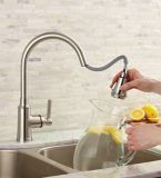 Cuisinart Calaid Pull-Down Kitchen Faucet, Brushed Nickel | Cuisinartnull