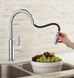 Danze Colby 1-Handle Kitchen Faucet, Chrome | Danzenull