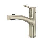 Danze Pull-Out Kitchen Faucet, Brushed Nickel | Danzenull