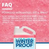Antigel pour système d'eau WinterProof -50 °C, 3,78 L | Winter Proofnull