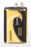 Likewise Alkaline 6V Battery | Likewisenull
