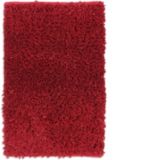 Red Poly Shag Rug, 20 x 30-in