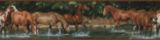 Bordure murale, chevaux,  5 po  x 15 pi | RoomMatesnull