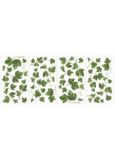 RoomMates Evergreen Ivy Wall Decal | RoomMatesnull