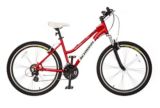 schwinn conversion mountain bike