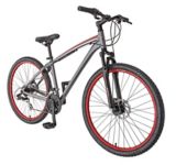 schwinn antrim