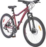 ccm 21 speed mountain bike