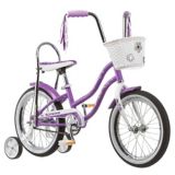 schwinn 16 inch bike girl