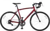 ccm endurance road bike 700c
