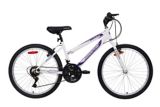 supercycle 1800 24 inch