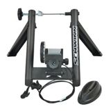 schwinn magnetic bike trainer