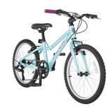 sport chek 20 inch bike