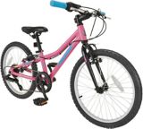 canadian tire 20 inch bike