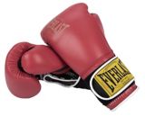 1910 everlast