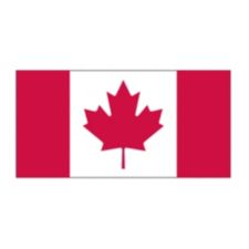 NEW 3x5 ft ONTARIO CANADA CANADIAN FLAG better quality usa seller