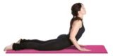 canadian tire yoga blocks