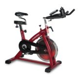 bladez fusion spin bike