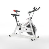 bladez fusion spin bike