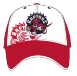 national sports raptors hats
