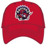 raptors hat sport chek