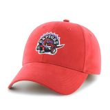 raptors hat youth