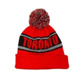 raptors pom pom hat