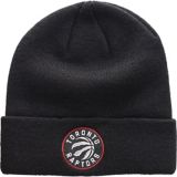 toronto raptors toques