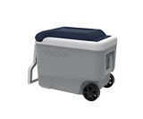 ice box canadian tire