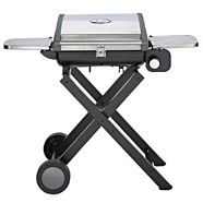 coleman portable bbq canadian tire