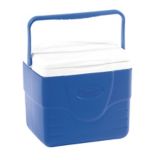 ice box canadian tire