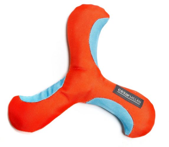 Cesar Millan Positive Propeller Dog Toy Product image