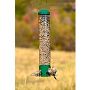 Squirrel Be Gone Bird Feeder Canadian Tire
