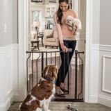 Walk-Thru Pressure Mount Pet Gate | Midwest Homes For Petsnull