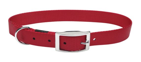 Buckle Collar, 3/4-in x 20-in Product image