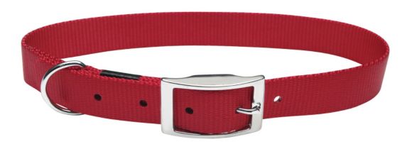 Buckle Collar, 1-in x 22-in Product image
