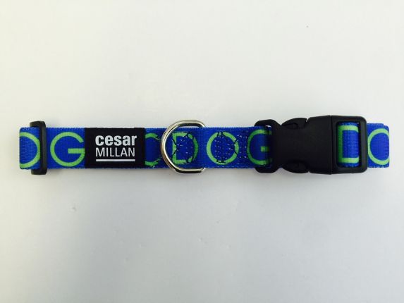 Cesar Millan Dog Collar, Blue Product image