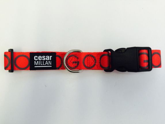Cesar Millan Dog Collar, Red Product image