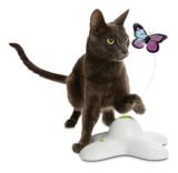 Papillon Jouet Electrique Pour Chats Petco Canadian Tire