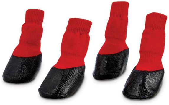 Chaussettes protectrices pour chien Petco, rouge, grand Image de l’article