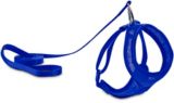 harness and lead set