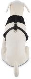 no pull dog harness petco