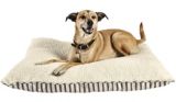 canadian tire dog beds