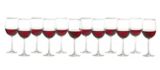 CANVAS Stemmed Wine Glasses, 12-pc | CANVASnull