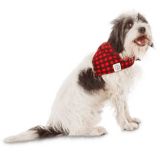 promotional dog bandanas