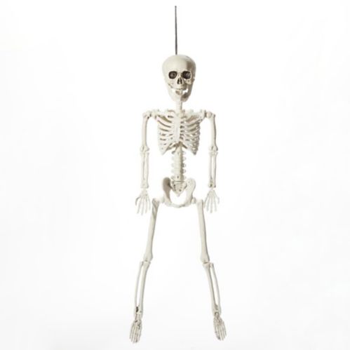 Squelette humain réaliste suspendu For Living, style cimetière effrayant d'Halloween, blanc, 23-1/2 po Image de l’article