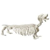 Chien squelette en plastique For Living, décorations d'Halloween effrayantes en os, blanc, 21 po | FOR LIVINGnull