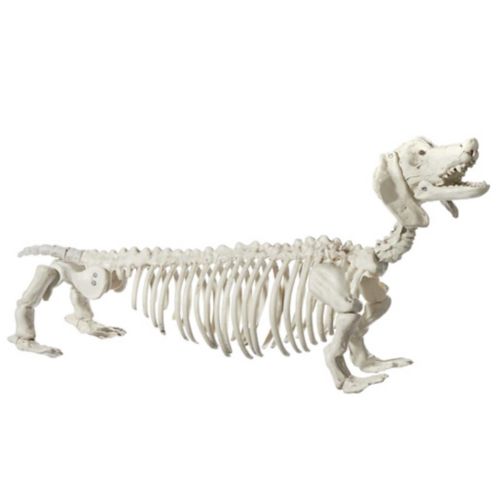 Chien squelette en plastique For Living, décorations d'Halloween effrayantes en os, blanc, 21 po Image de l’article